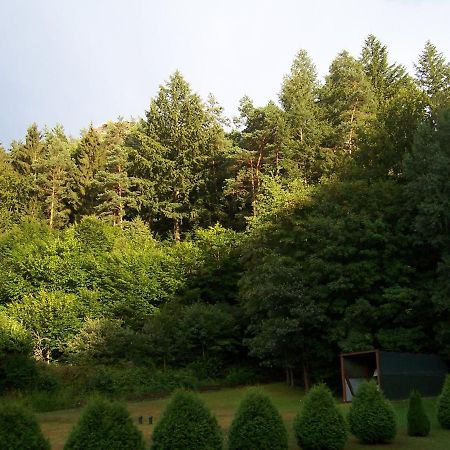 Ferienwohnung am Pfaffenfels Schönau Exterior foto