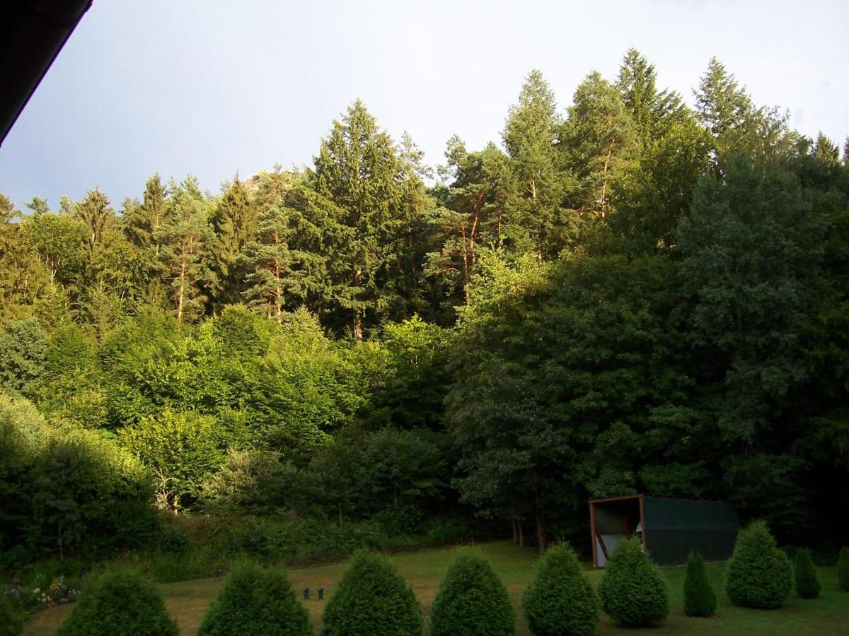 Ferienwohnung am Pfaffenfels Schönau Exterior foto