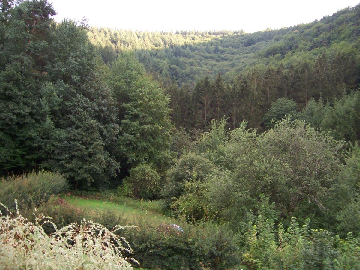 Ferienwohnung am Pfaffenfels Schönau Exterior foto