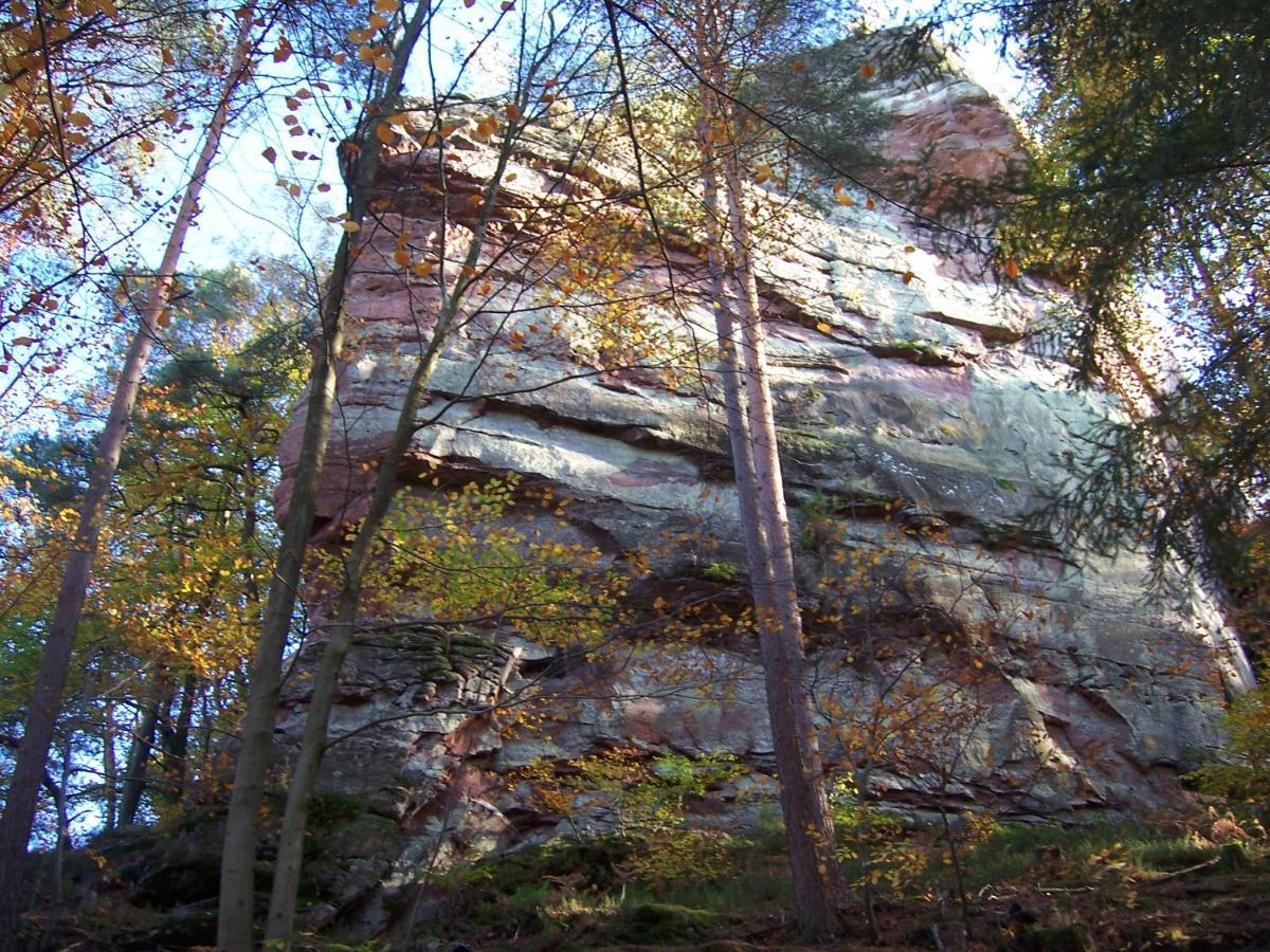 Ferienwohnung am Pfaffenfels Schönau Exterior foto