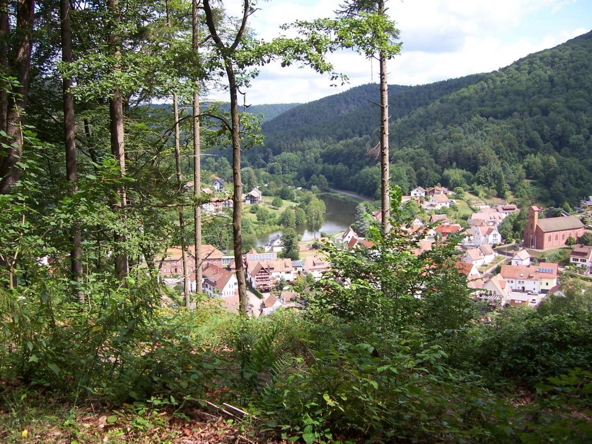 Ferienwohnung am Pfaffenfels Schönau Exterior foto